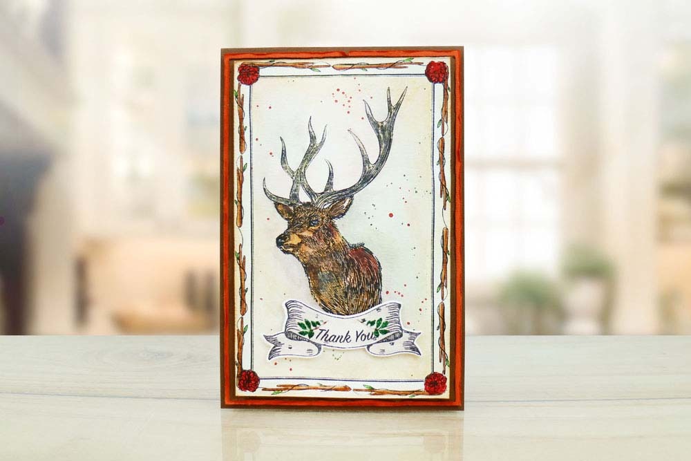 Rare Earth Collaboration Stag (436330) – Tattered Lace